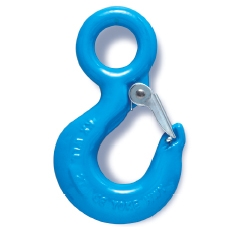 Alloy Eye Hoist Hook ()